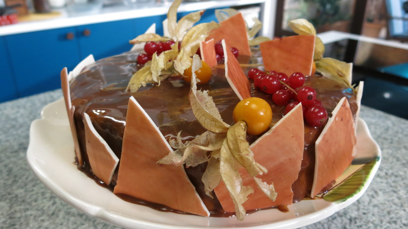Evropa torta