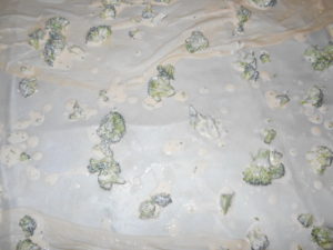 BROKOLI 005